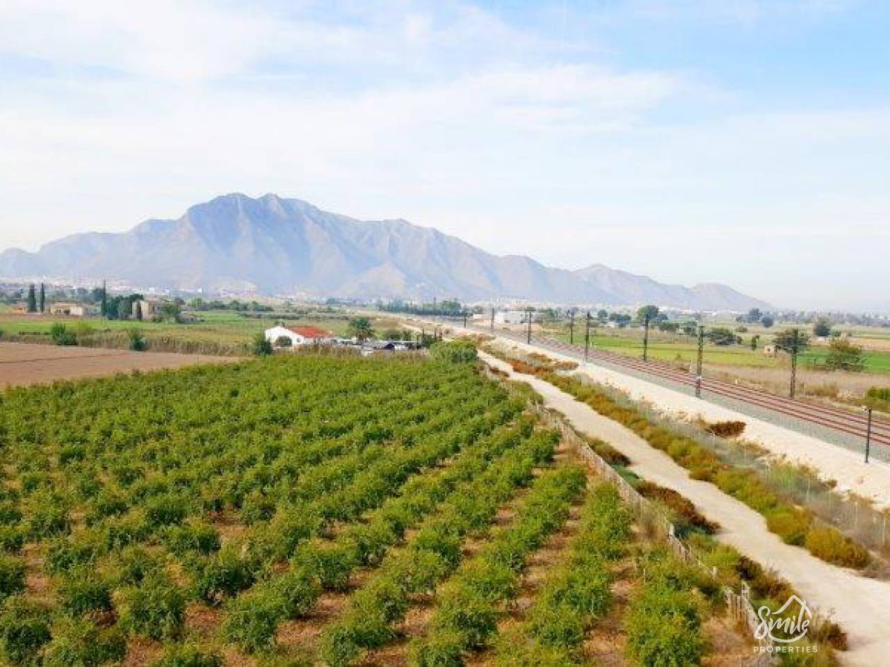 Finca - Resale - Callosa De Segura - Finca Callosa