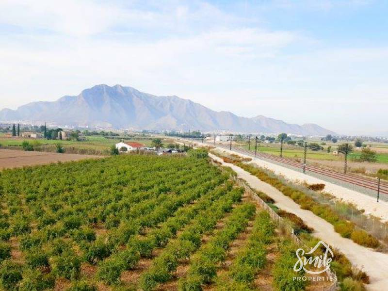 Finca - Segunda mano - Callosa De Segura - Callosa De Segura