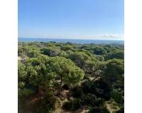 New Build -  - Guardamar del Segura - CENTRO
