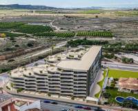 New Build -  - San Miguel de Salinas - Pueblo