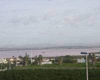 New Build -  - Torrevieja - Los altos