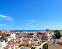 New Build -  - Torrevieja - Nueva Torrevieja