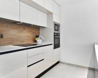 New Build -  - Torrevieja - Villa Amalia