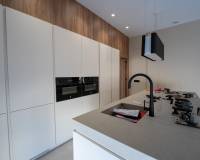 New Build - Villa - Benejuzar - alta