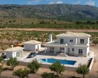 New Build - Villa - Pinoso - Camino Del Prado