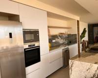 New Build - Villa - Pinoso - Casas Pastor
