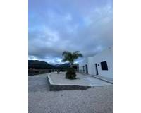 New Build - Villa - Pinoso - Casas Pastor