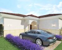 New Build - Villa - Pinoso - Rodriguillo