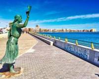 Obra Nueva - Apartamento - Torrevieja - Centro