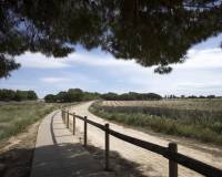 Obra Nueva - Bungalow - Torrevieja - Altos del Sol