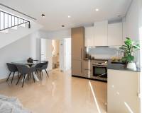 Obra Nueva - Quad House - Gran Alacant