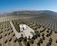 Obra Nueva - Villa - Algorfa - Lomas De La Juliana