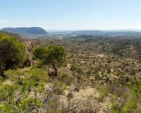 Obra Nueva - Villa - Aspe - Centro