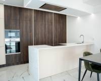 Obra Nueva - Villa - Ciudad Quesada - Lo Marabú