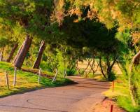 Obra Nueva - Villa - Pilar de la Horadada - Lo Romero Golf