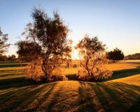 Obra Nueva - Villa - Pilar de la Horadada - Lo Romero Golf