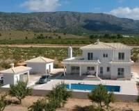 Obra Nueva - Villa - Pinoso - Camino Del Prado
