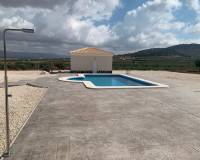 Obra Nueva - Villa - Pinoso - Camino Del Prado