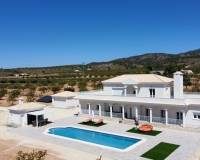 Obra Nueva - Villa - Pinoso - Camino Del Prado