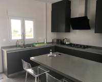 Obra Nueva - Villa - Pinoso - Camino Del Prado