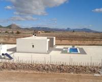 Obra Nueva - Villa - Pinoso - Camino Del Prado