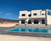 Obra Nueva - Villa - Pinoso - Camino Del Prado