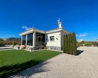 Obra Nueva - Villa - Pinoso - Camino Del Prado