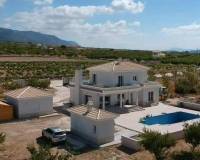 Obra Nueva - Villa - Pinoso - Camino Del Prado