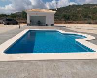Obra Nueva - Villa - Pinoso - Camino Del Prado