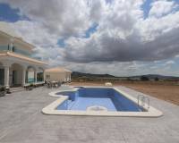Obra Nueva - Villa - Pinoso - Camino Del Prado