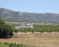 Obra Nueva - Villa - Pinoso - Camino Del Prado