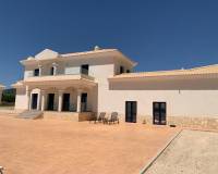 Obra Nueva - Villa - Pinoso - Camino Del Prado