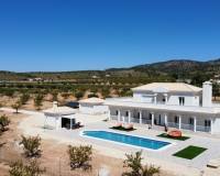 Obra Nueva - Villa - Pinoso - Camino Del Prado
