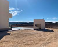 Obra Nueva - Villa - Pinoso - Camino Del Prado
