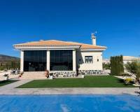 Obra Nueva - Villa - Pinoso - Camino Del Prado