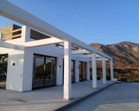 Obra Nueva - Villa - Pinoso - Casas Pastor