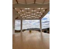 Obra Nueva - Villa - Pinoso - Casas Pastor