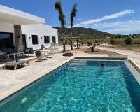 Obra Nueva - Villa - Pinoso - Casas Pastor