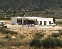 Obra Nueva - Villa - Pinoso - Casas Pastor