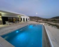 Obra Nueva - Villa - Pinoso - Casas Pastor