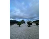 Obra Nueva - Villa - Pinoso - Casas Pastor
