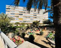 Resale - Apartment - La Mata - Los Europeos