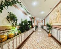 Resale - Apartment - La Mata