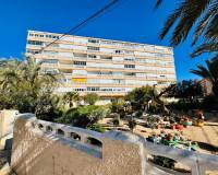 Resale - Appartement - La Mata - Los Europeos