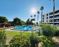 Resale -  - La Mata - Pinada Beach I