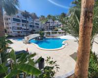 Segunda mano - Apartamento - La Mata - Los Europeos