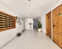 Segunda mano - Apartamento - La Mata - Los Europeos