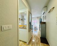 Segunda mano - Apartamento - La Mata - Puerto Romano