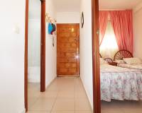 Segunda mano - Apartamento - La Mata