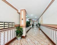 Segunda mano - Apartamento - La Mata